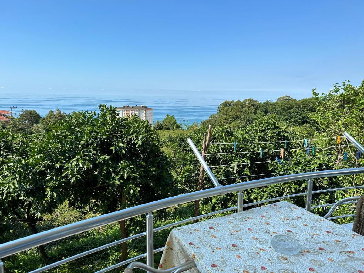 Delpina Apart&otel Pazar (Rize)